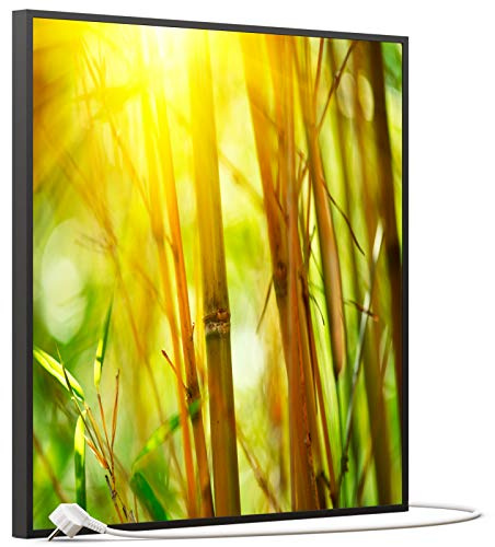 STEINFELD Bild Infrarotheizung mit Thermostat | Made in Germany | viele Motive 350-1200 Watt Rahmen schwarz (350W, 062 Bambusbild)