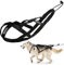 Hundegeschirr für große Hunde, Schlittengeschirr für Haustiere, zum Gewichtheben, Rodeln, Matschen, Canicross, Skijoring, Roller, ideal für Huskys und andere große Rassen