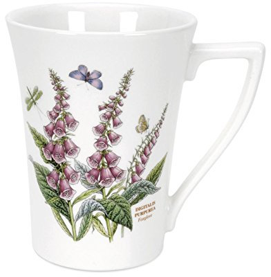Portmeirion Botanic Garden - Mandarin Mug - Foxglove