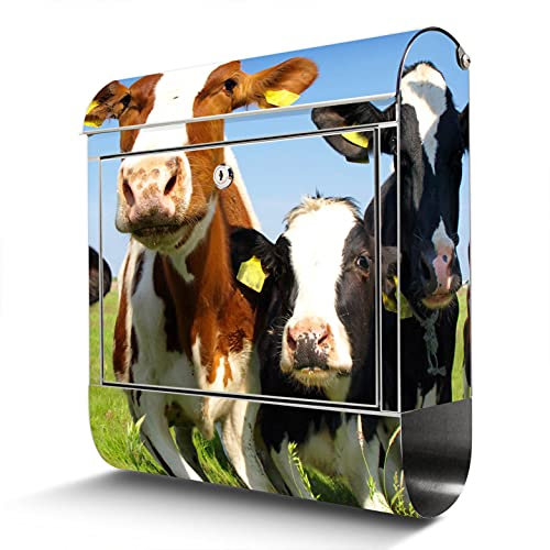 banjado® Briefkasten Edelstahl mit Motiv Kühe 38x43x12cm & 2 Schlüssel - rostfreier Edelstahl Briefkasten mit Zeitungsfach - Postkasten A4 Einwurf inkl. Montagematerial