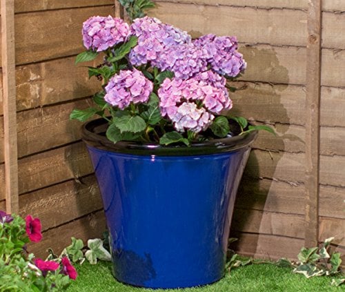 Primrose Royal Blue Glaze Effect Planter 50cm (19.7in)