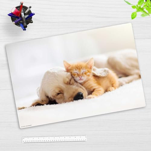 Schreibtischunterlage für Kinder und Erwachsene – “Freundschaft zwischen Katze und Hund“ – aus erstklassigem, strapazierfähigem Vinyl (Kunststoff -BPA frei) – 60 x 40 cm – Made in Germany