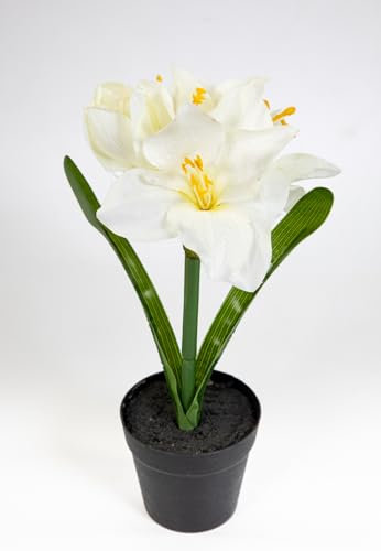 Amaryllis im Topf 32cm JA künstliche Blumen Pflanzen Kunstpflanzen Kunstblumen (Weiß)
