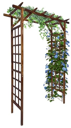 Garvee Arche de Jardin en Bois de Sapin Robuste pour Plantes grimpantes – Treillis Plat décoratif pour Mariage, fête, terrasse, Jardin – Finition carbonisée – Toit Plat, Couleur carbonisée