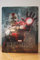 iron man 2 - steelbook Blu-ray [édition limitée 4000 ex]