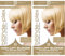 Sommer Goldblond Haarfärbemittel mit zusätzlichem Plex Haarpflege Conditioner, permanente Haarfarbe mit einer Goldblond Haaartönung für blondes Haar, veganes Haarfärbemittel - Smart Beauty (2er-Pack)