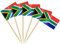 AhfuLife - 100 Piezas de Decoración de Pastel de Bandera de Palillos de Dientes, Palos de Cóctel, Sándwiches, Comida, Pastelería, Copa del Mundo, Artículos de Fiesta (South African, 100)