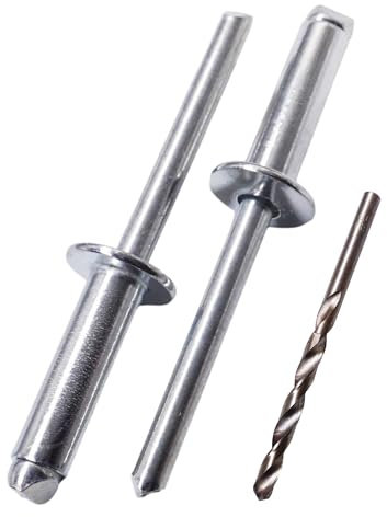 SKIR'CO Lot de 100 rivets aveugles en acier zingué 6,0 x 20 mm Mandrin en acier, rivets pop tête bombée DIN 7337 Rivets, foret inclus