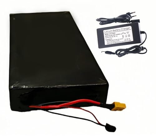 GNIUBBDB 48V 20Ah E-Bike Lithium Ion Battery Pack with 54.6V 2A Charger 13S4P Electric Bicycle Scooter Battery Built-in BMS for 250W 300W 350W 500W 750W Motor XT60 Plug+SM Plug