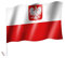 Sportfanshop24 2 Stück/1 Paar Autoflagge/Autofahne Polen mit Adler/Wappen/Adler/Polska/Poland - Fahne/Flagge für Auto 2X - car Flag