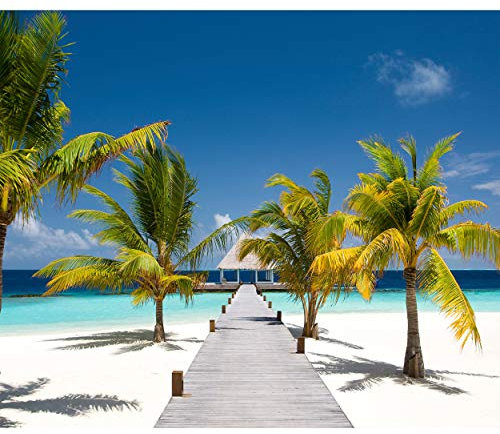 decomonkey Fototapete Strand Meer 350x256 cm XL Tapete Fototapeten Vlies Tapeten Vliestapete Wandtapete Landschaft Nature Wandbild Wand Schlafzimmer Wohnzimmer Landschaft Natur