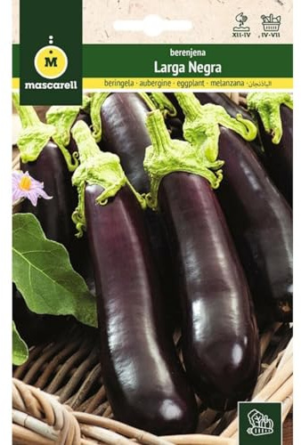 Mascarell Graines, aubergine, graines de potager, aubergine longue, créez votre propre potager urbain et culture à la maison, plantes horticoles, 3 g