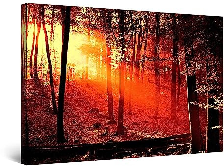Startonight Bilder Roter Sonnenaufgang im Wald, Leinwandbilder Moderne Kunst, Landschaft Wanddeko Kunstdrucke, Wandbilder XXL Wohnzimmer Groß Wand Bild 80 x 120 cm, Tag Nacht Elegante Geschenkidee