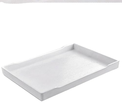 OMEM Reptile Bowl Large Food and Water Dish Also Fit for Bath (M, White)