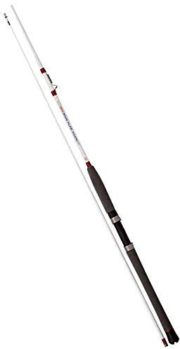 Rhino Rute 2,40m Inline Wizard 40g-100g 10lbs-20lbs, x, 40-100 g