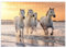 MyPuzzle Weiße Camargue Pferde galoppieren am Strand, Frankreich - Premium 200 Teile Puzzle - MyPuzzle Sonderkollektion von Puzzle Galaxy