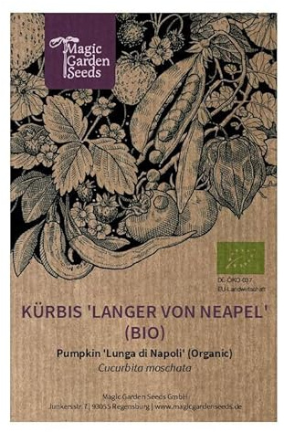 Kürbis 'Langer von Neapel' (Cucurbita moschata) ca. 5 Bio-Samen Lunga di Napoli