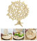 Oblique Unique® Lebensbaum Holz Baum des Lebens als Tischdeko für Taufe Kommunion Konfirmation Deko Junge Mädchen Verzierung (Natur)