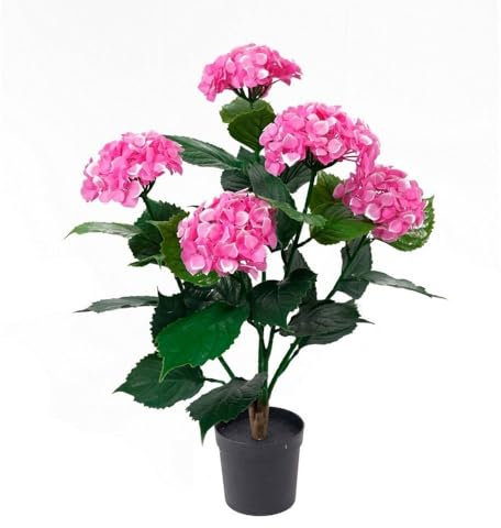 LOLAhome Planta Artificial Hortensia Fucsia para Interior y Exterior | De 60 cm | Protección UV Solar, contrapeso de Cemento | Realista y Elegante | para Interior, balcón, terraza | Plantas Exterior