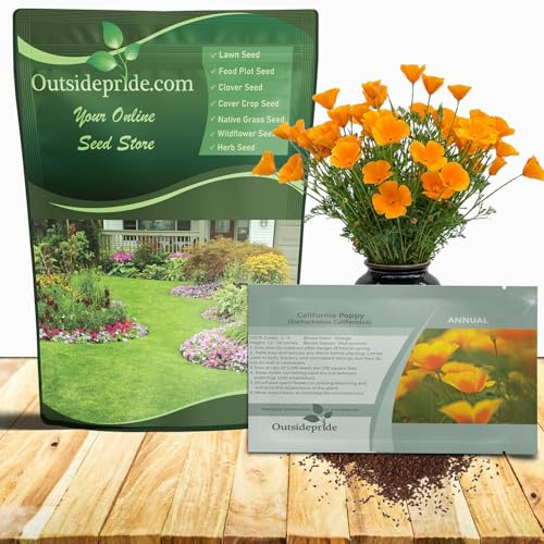Outsidepride Eschscholzia Orange California Poppy Seeds - 1 lb. Annual, Native, Drought Tolerant Wildflower Seeds w/Vibrant Blooms for Full Sun & Drought-Tolerant Pollinator-Friendly Gardens