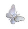 Muschel Schmetterling kleine Anstecknadel Elegante Anti-Walking Schnalle Zubehör kleine Brosche, Kupfer, Perle, Muschel, Perle