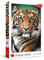 Puzzle 1500 - Portrait eines Tiger's