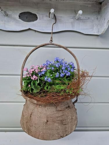 Arinosa Blumentopf zum Hängen Blumenampel Hexenkessel Metall Shabby D21xH16cm + 28cm Henkel