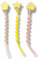 Lot de 3 attache-tétines en silicone pour bébé fille, sans BPA (Bisphénol) personnalisables pour cadeau de nouveau-né