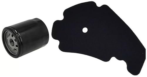 Filtro Aria e Filtro Olio compatibile con Piaggio Beverly 200, 250, 300, Tutti i Modelli