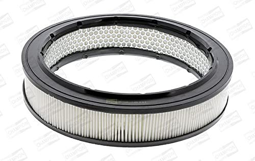 Luftfilter | Champion (CAF100102R) | Filter, Luftversorgung