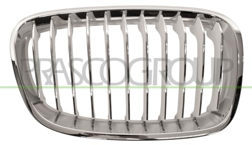 PRASCO BM1232013 Frontgrillspoiler