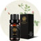 Ätherisches Aromatherapie-Rosenöl, 100% reines ätherisches Öl Rose für Diffusor-, Haut- und Haarpflege, 0,33 Unzen-10 ml ätherisches Rosenöl von therapeutischer Qualität für Luftbefeuchter