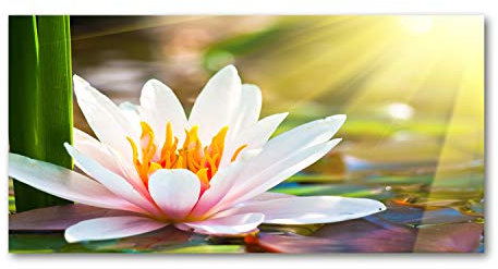 Tulup Glas-Bild Wandbild aus Glas - Wandkunst - Wandbild hinter gehärtetem Sicherheitsglas - Dekorative Wand für Küche & Wohnzimmer 120x60 - Blumen & Pflanzen - Seerose - Mehrfarbig