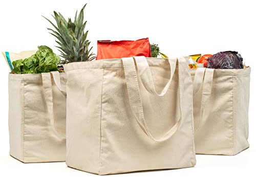 VeraMia 3pc Canvas Grocery Bags with Pockets, Shoulder Straps - Foldable, Washable Heavy Duty Tote