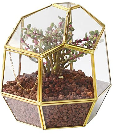NCYP 19 cm Kleines, Geometrisches Glas-Terrarium mit Tür, Tischplatte aus Messing, unregelmäßiger Übertopf für Sukkulenten-Kakteenpflanzen, Garten-Blumentopf, Geschenk (nur Terrarium)