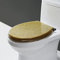 WC Sitz Oval Toilettendeckel Mit Absenkautomatik Und Abnehmbar, Antibakterielle Klobrille Aus Harz Und Rostfreiem Edelstahl, Toilettensitz Silber Und Gold, Premium Toilet Seat,Gold