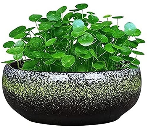 Round Large Shallow Glazed Planter Pots Outdoor Succulent Planter Bowl Bonsai Pots Garden Decorative Ceramic Flower Pot Non-porous Suitable for Hydroponic Plant Container (Color : Green) beautiful