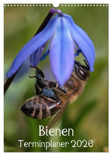 Bienen-Terminplaner 2026 (Wandkalender 2026 DIN A3 hoch), CALVENDO Monatskalender: Faszinierende Nahaufnahmen der kleinen Nützlinge (CALVENDO Tiere)