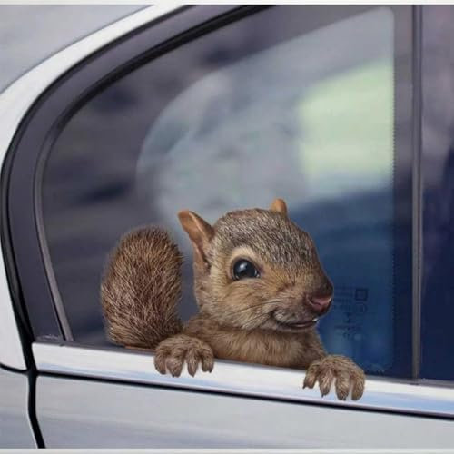 Eichhörnchen-Willkommensaufkleber für LKW-Fenster – lustige Tier-Aufkleber für Auto, 3D-Vinyl-gestanzte Aufkleber