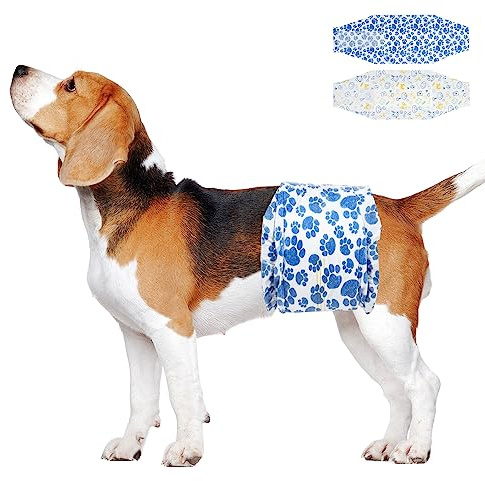 Dono Pannolini per cani maschi, 20 pezzi,fasce per cani maschi, pannolini cane, super assorbenti, fasce per la pancia per la marcatura del cane, minzione eccitante, addestramento,XS,S,M,L