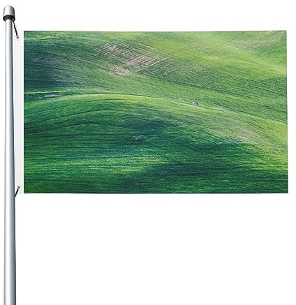 Große Flächen von grünem Gras-Flagge, 90 x 152 cm, lustige Outdoor-Banner, Urlaub, Gartenflagge, Willkommens-Banner, Zuhause, Garten, Hof, Rasen, Dekoration, Flaggen, Indoor/Outdoor, doppelseitiger