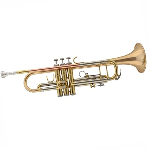 Standard Trompeten Trompete B-Dur Blasinstrument Tragbares Messing Langlebiger Klang Reiche Trompete