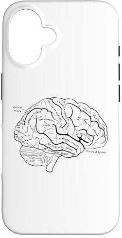 Brain Anatomy Diagramm Shirt Human Brain Anatomy Hülle für iPhone 16