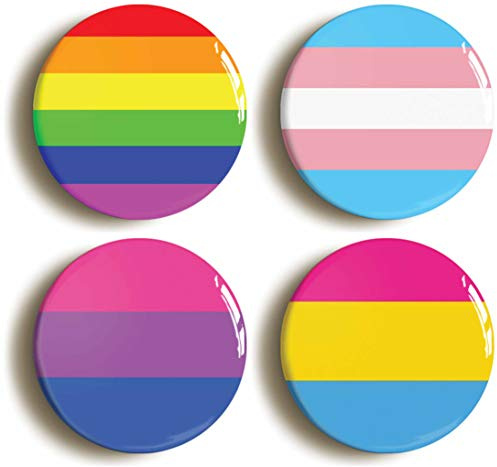 PRIDE BADGE BUTTON PIN SET LGBT BI TRANS PAN DIVERSITY (Size 1inch / 25mm diameter)