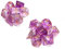 DollaTek Transparente Polyedrische Würfel Set - 2 Sätze (14 Stück) D20 D12 D10 D8 D6 D4 für DND RPG MTG Tischspiele - Doppelfarben Einteilig (Lila)