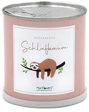 MacFlowers® | Anzucht-Set mit echtem Schlafbaum | eine Sorte Samen | in niedlicher instant gardening Blumendose | Geschenkidee für Faultierfreunde