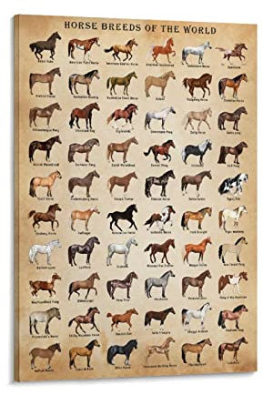 XNLKSI Poster Horse Breeds of the World, ungerahmt, 40,6 x 61 cm