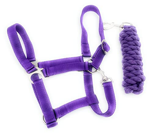 ARBO-INOX Halfter-Set Basic Halfter stufenlos verstellbar mit Führstrick (Full Warmblut, Lila)