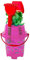 Acan Tradineur - Cubo de Playa con Accesorios, Semitransparente, Dibujos de Peces, Incluye: Cubo, Pala, rastrillo, etc. Ideal para Jugar en la Playa. Color Surtido. 42 x 20 x 20 cm