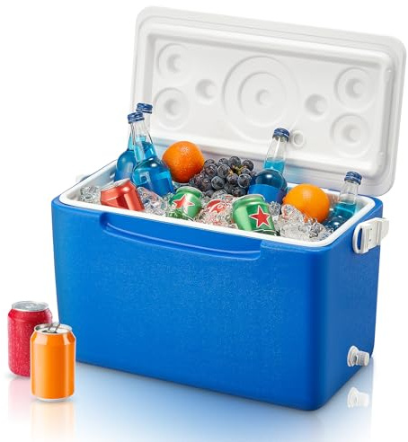 Cooler Box with Handle,26L Insulated Ice Chest Box, Portable Cool Box to Keeps Food or Drinks for Days, PU Foam Insulation &Removable Tray, Cool Box for Travel, Car, Camping Outdoor